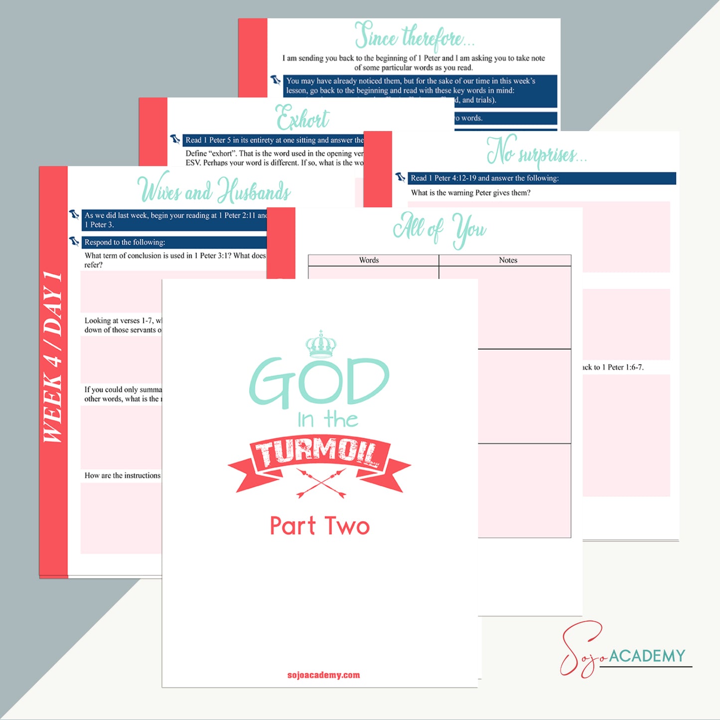 God in the Turmoil: 6-Week Bible Study